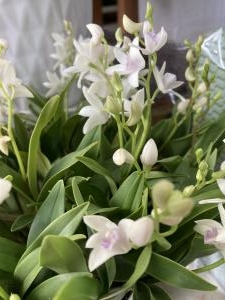 おすすめ　　フラワーギフト|「花のいしはら」　（宮崎県小林市の花屋）のブログ